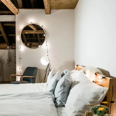 Berghuette Vogtland In Σπίτι διακοπών Klingenthal