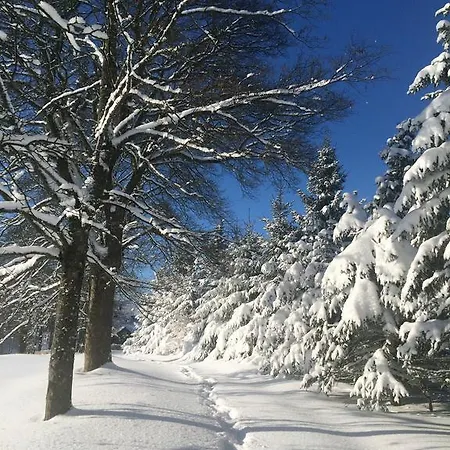 Berghuette Vogtland In