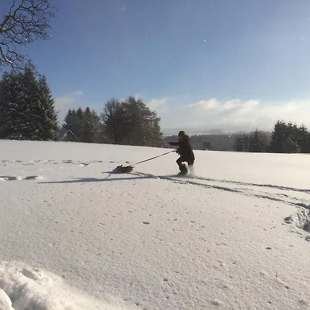 Σπίτι διακοπών Berghuette Vogtland In *