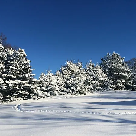 Berghuette Vogtland In Klingenthal