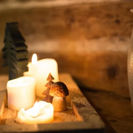 Berghuette Vogtland In *