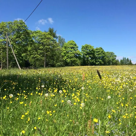 Berghuette Vogtland In * Klingenthal