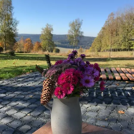 Σπίτι διακοπών Berghuette Vogtland In Klingenthal