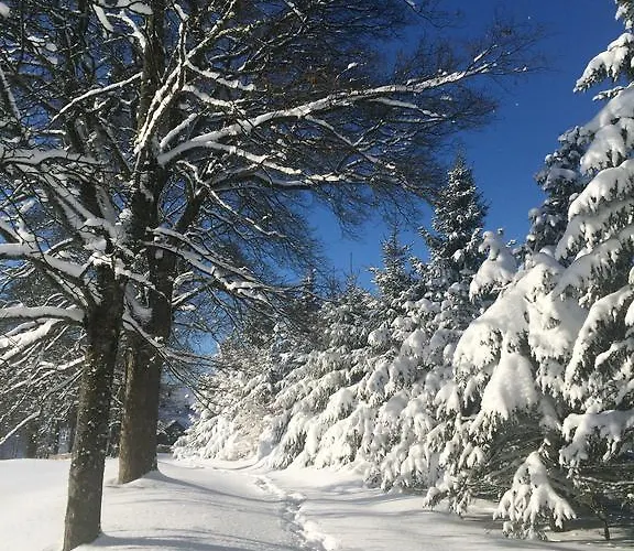 Berghuette Vogtland In