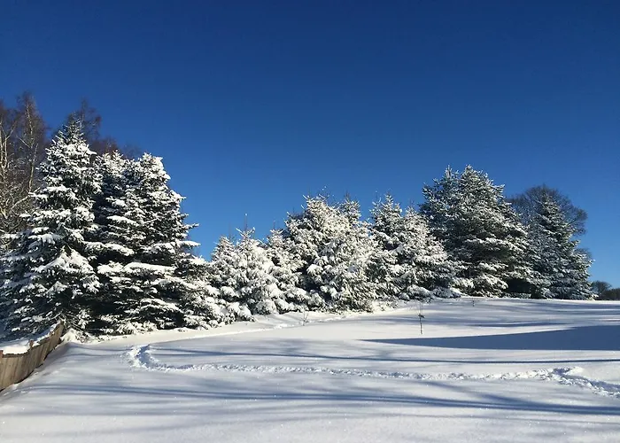 Berghuette Vogtland In كلينغنتال