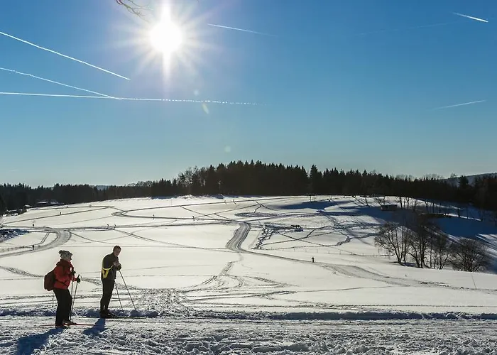 بيت للعطل Berghuette Vogtland In *