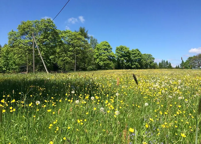 Berghuette Vogtland In * كلينغنتال