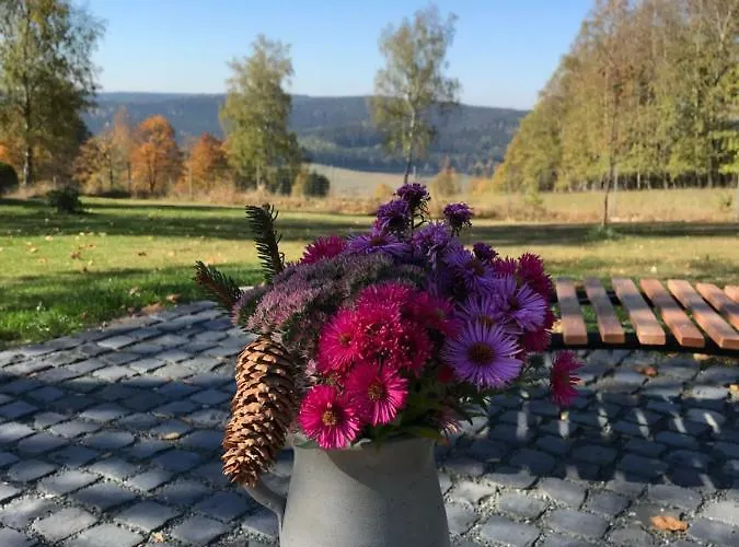 بيت للعطل Berghuette Vogtland In كلينغنتال